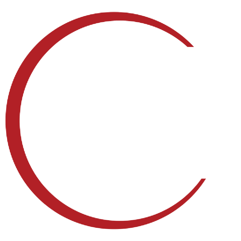 IPV-simbolo-logo